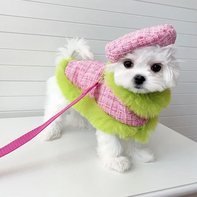Plaid Harness Set | Dog Harness Leash and Hat Set