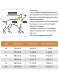 Skeleton Bones Dog Costume | Halloween Dog Costume