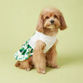 It’s Your Lucky Day Dress – Saint Patrick’s Day Dog Dress