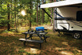 Napoleon TravelQ 240 Compact Portable Propane Grill 🍁 All In One Marketplace Canada