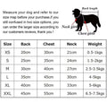 Dog Hoodie Pants Set | Adidog Dog Outfit Set