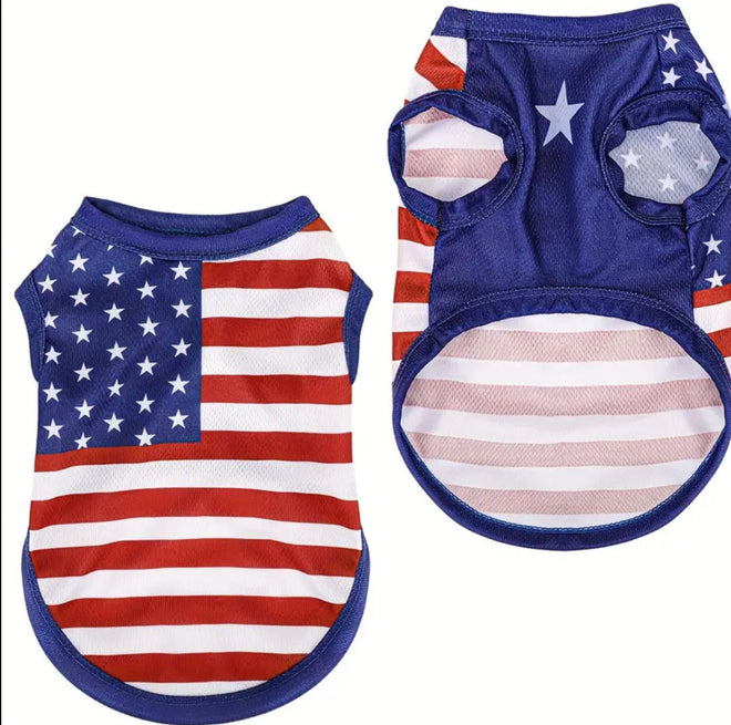 Fourth of July Tee