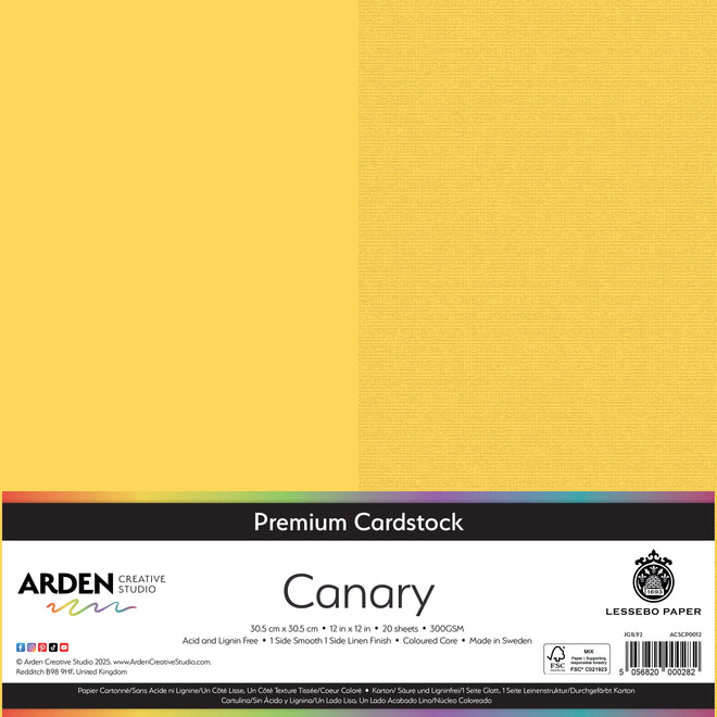 Arden Creative Studio Premium Cardstock 12in x 12in 300gsm 20 Pack