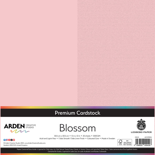 Arden Creative Studio Premium Cardstock 12in x 12in 300gsm 20 Pack