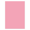 A4 Adorable Scorable Cardstock 10 Sheets