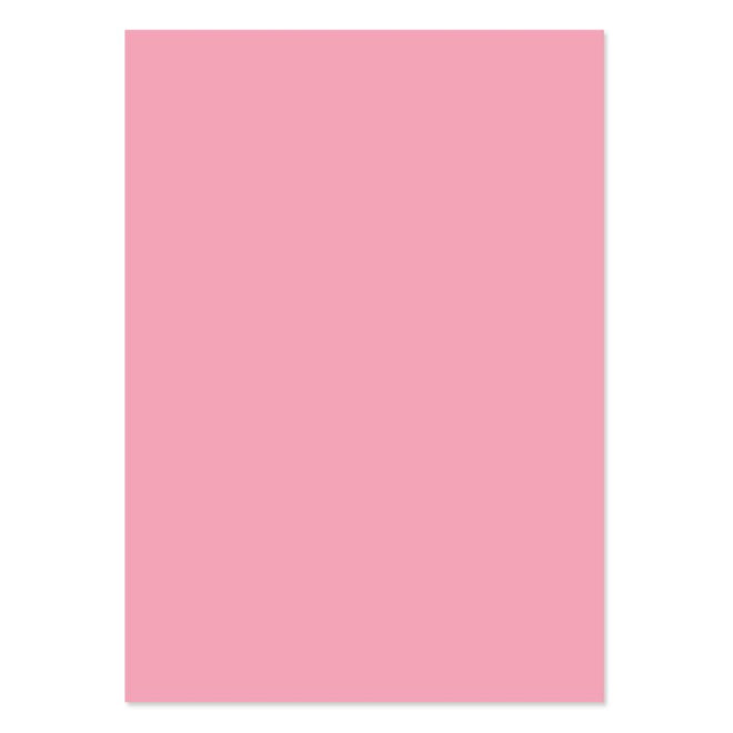 A4 Adorable Scorable Cardstock 10 Sheets
