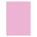 A4 Adorable Scorable Cardstock 10 Sheets