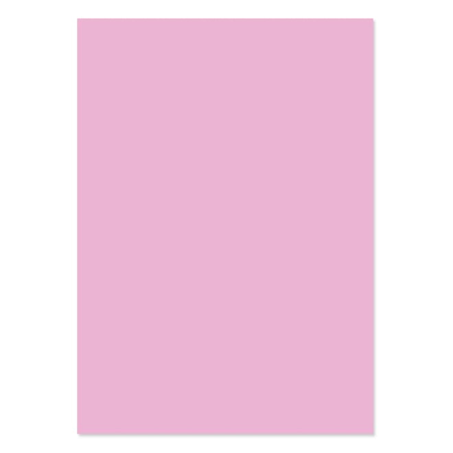 A4 Adorable Scorable Cardstock 10 Sheets