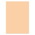 A4 Adorable Scorable Cardstock 10 Sheets