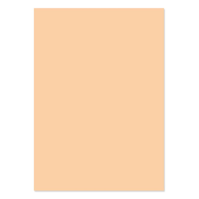 A4 Adorable Scorable Cardstock 10 Sheets