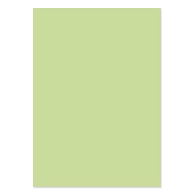 A4 Adorable Scorable Cardstock 10 Sheets