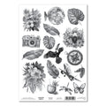 3Quarter Designs A4 Acetate - Tropic