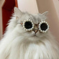 Pearly Dog Sunglasses | Pet Sunglasses