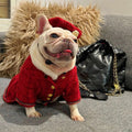 Dog Dress & Hat Set | Chewnel Tweed Dog Outfit
