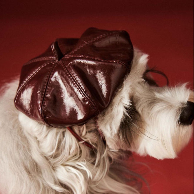 Monsieur Dog Hat | Dog Beret Hat