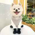 Doggy Winter Boots – Waterproof Winter Boots for Dogs