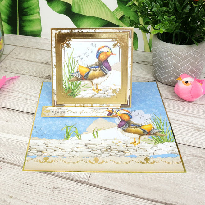 Wonderful Wetlands Luxury Topper Set