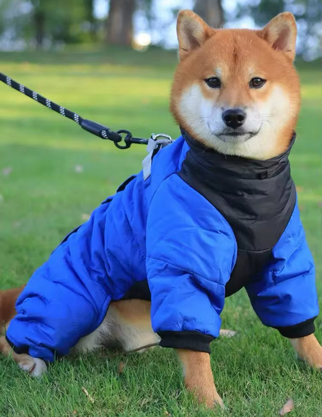 Vancouver Dog Rain Jacket | Waterproof Dog Jacket