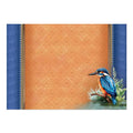 Beautiful Birds Deco-Large Set - Colourful Kingfisher