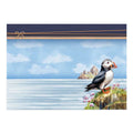 Beautiful Birds Deco-Large Set - Perfect Puffin