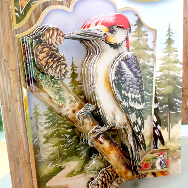 Beautiful Birds Deco-Large Set - Wonderful Woodpecker