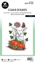 BL Clear Stamp Cute Rabbit By Laurens 89x64x3mm 1 PC nr.535