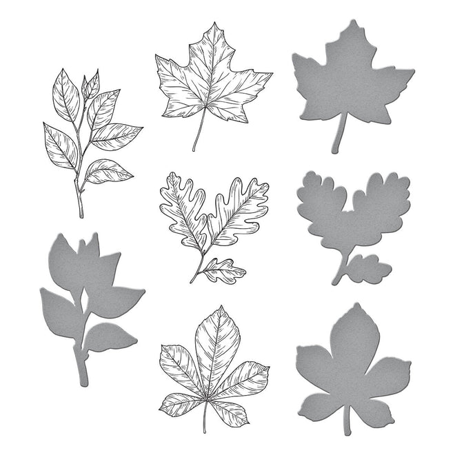 Autumn Leaves Press Plate & Die Set from the BetterPress Autumn Collection
