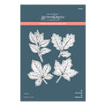 Autumn Leaves Press Plate & Die Set from the BetterPress Autumn Collection