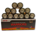 BRS D Alkaline Batteries — 12‑Pack (BRSLR20D)