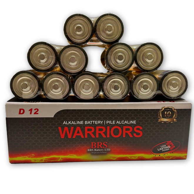 BRS D Alkaline Batteries — 12‑Pack (BRSLR20D)