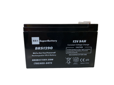 Image without description.