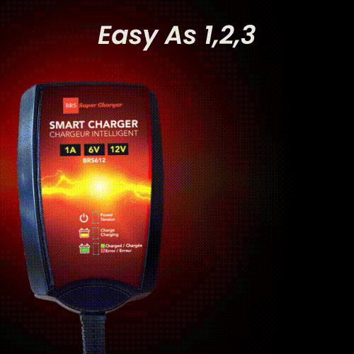 BRS Super Charger BRS612 - 6V/12V Trickle Charger - Battery Maintainer & Rejuvenator