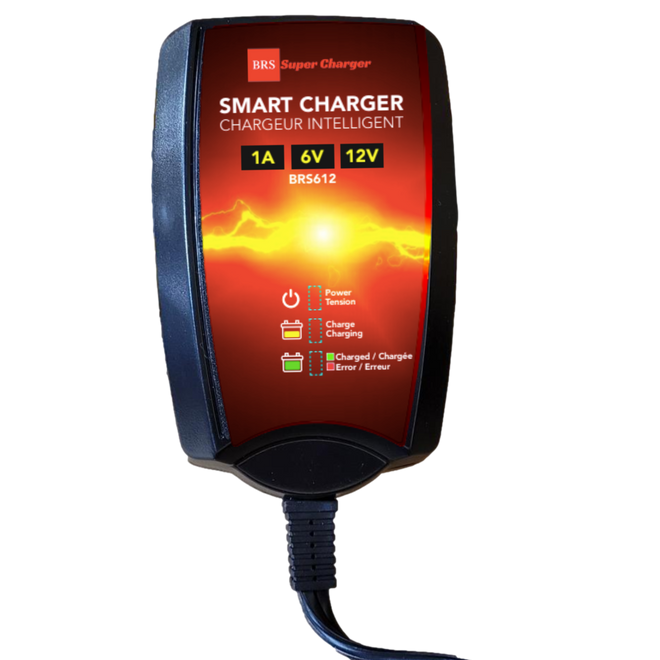 BRS9-BS 30 Day Warranty Battery & Smart Charger / Maintainer Combo Bundle Kit