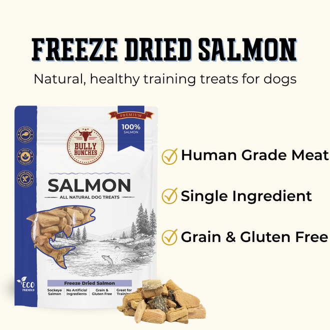 Freeze Dried Salmon 100g / 3.5oz