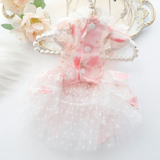 Pretty in Pink Dress