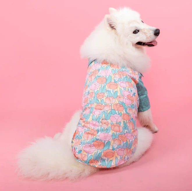Petunia Dress/Shirt