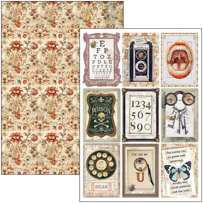 Cabinet Of Curiosities Creative Pad A4 9/Pkg