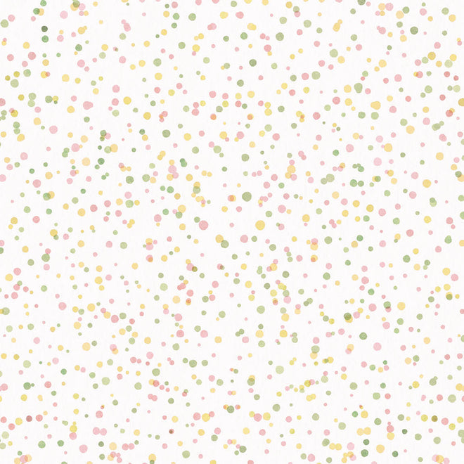 Ciao Bella Blooming 8"x8" 12/Pkg