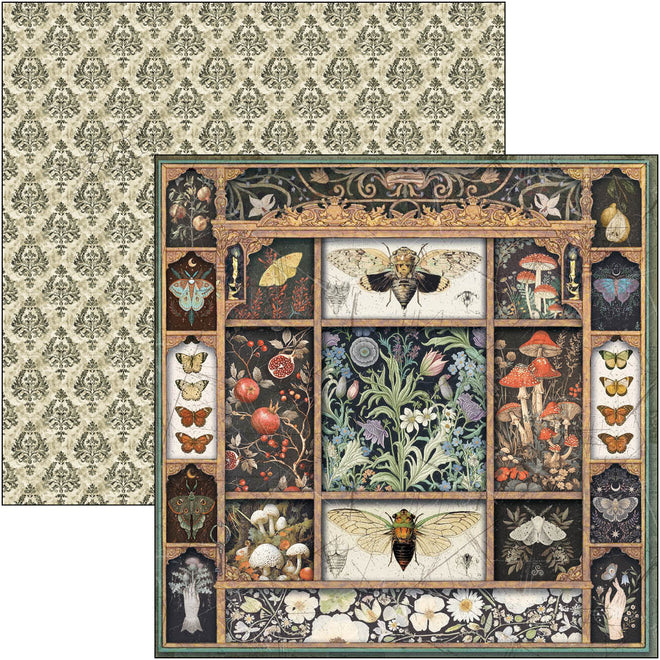 Cabinet Of Curiosities Pad 8"x8" 12/Pkg