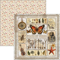 Cabinet Of Curiosities Pad 8"x8" 12/Pkg