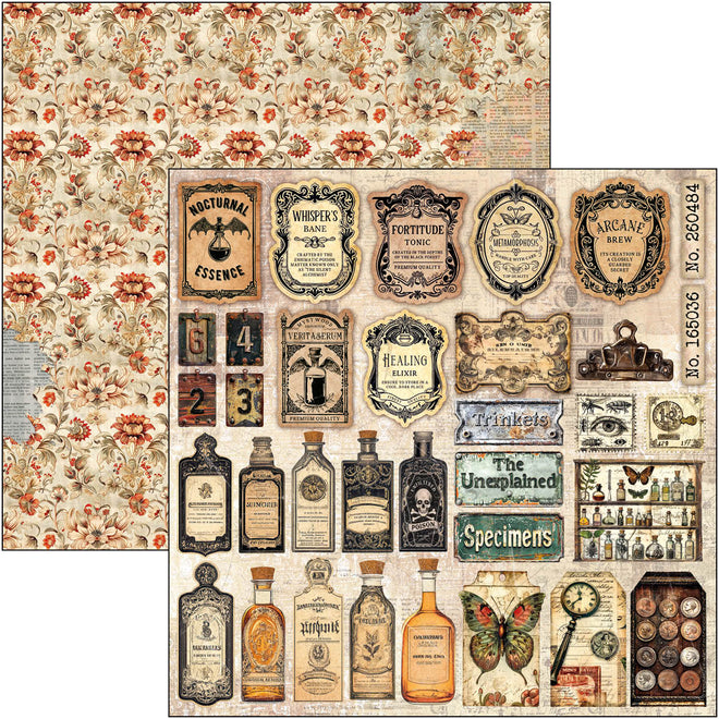Cabinet Of Curiosities Pad 8"x8" 12/Pkg