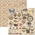 Cabinet Of Curiosities Pad 8"x8" 12/Pkg