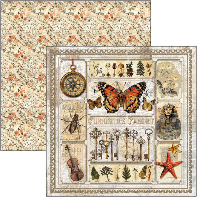 Cabinet Of Curiosities Paper Pad 12"x12" 12/Pkg