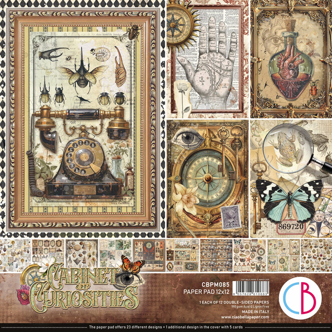 Cabinet Of Curiosities Paper Pad 12"x12" 12/Pkg