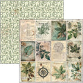 Cabinet Of Curiosities Paper Pad 12"x12" 12/Pkg