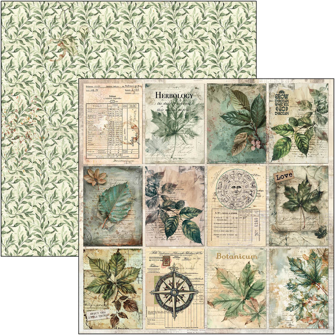 Cabinet Of Curiosities Paper Pad 12"x12" 12/Pkg