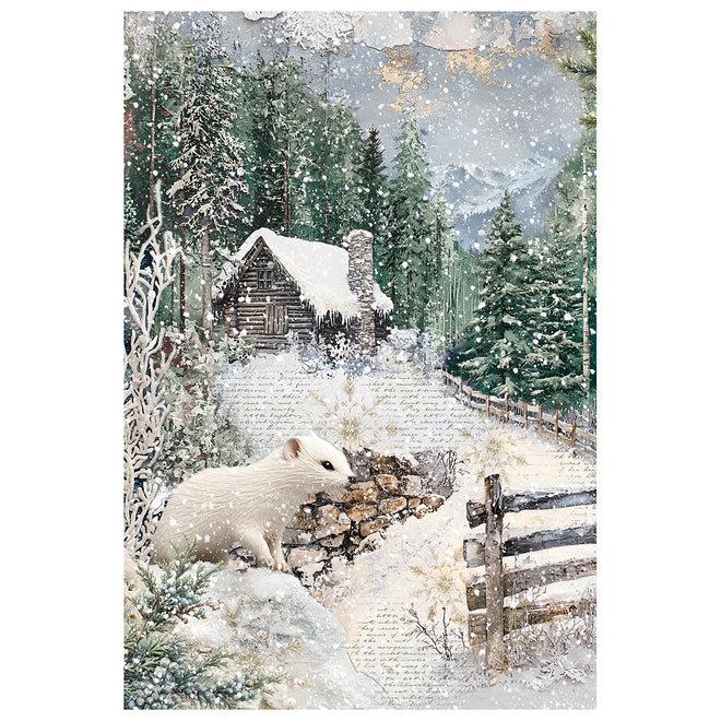 Rice Paper A4 MIXED 4/Pkg Forest Tales