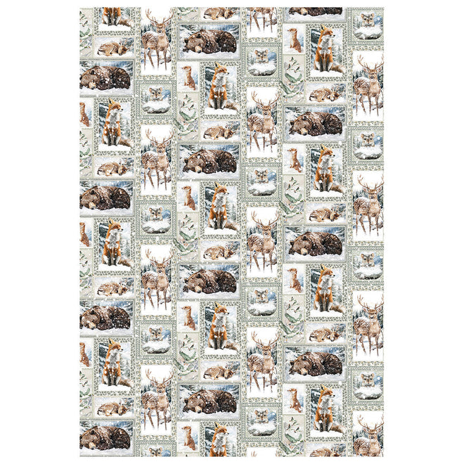 Rice Paper A4 MIXED 4/Pkg Forest Tales