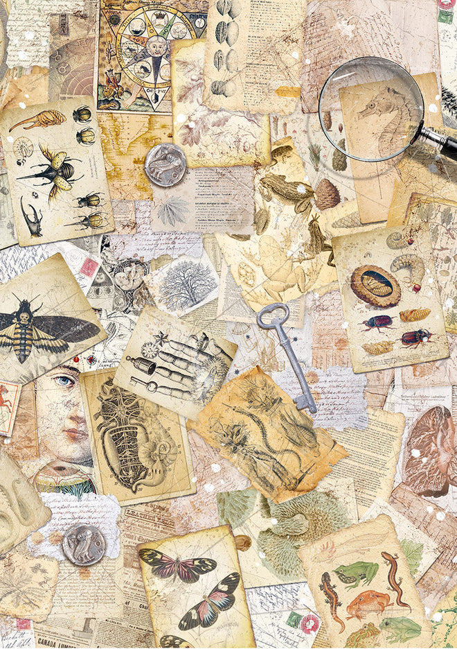 Rice Paper A5 MIXED 8/Pkg Cabinet Of Curiosities