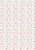 Rice Paper A5 MIXED 8/Pkg Secret Garden